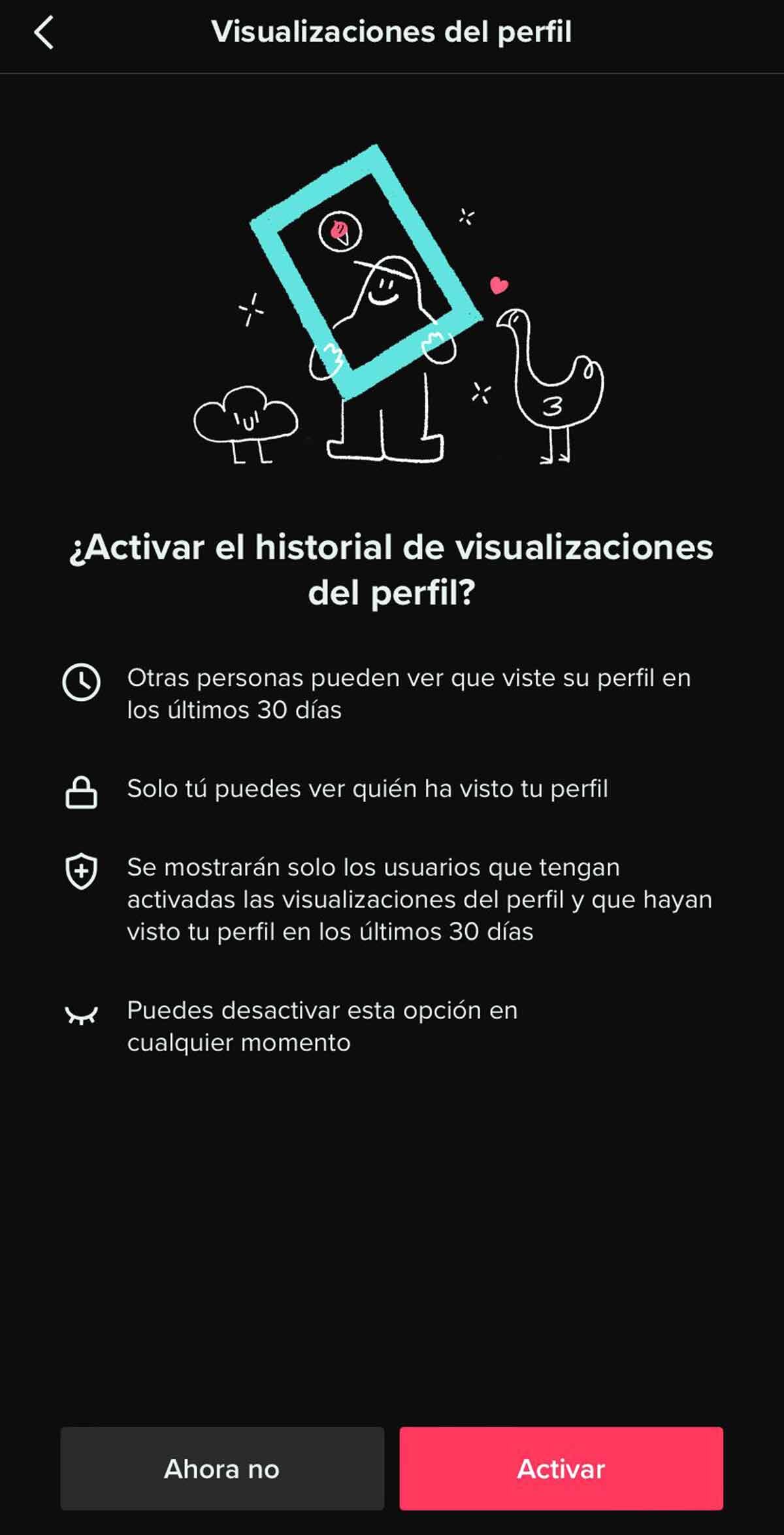 3.  Optimización y Análisis de tu Perfil de TikTok