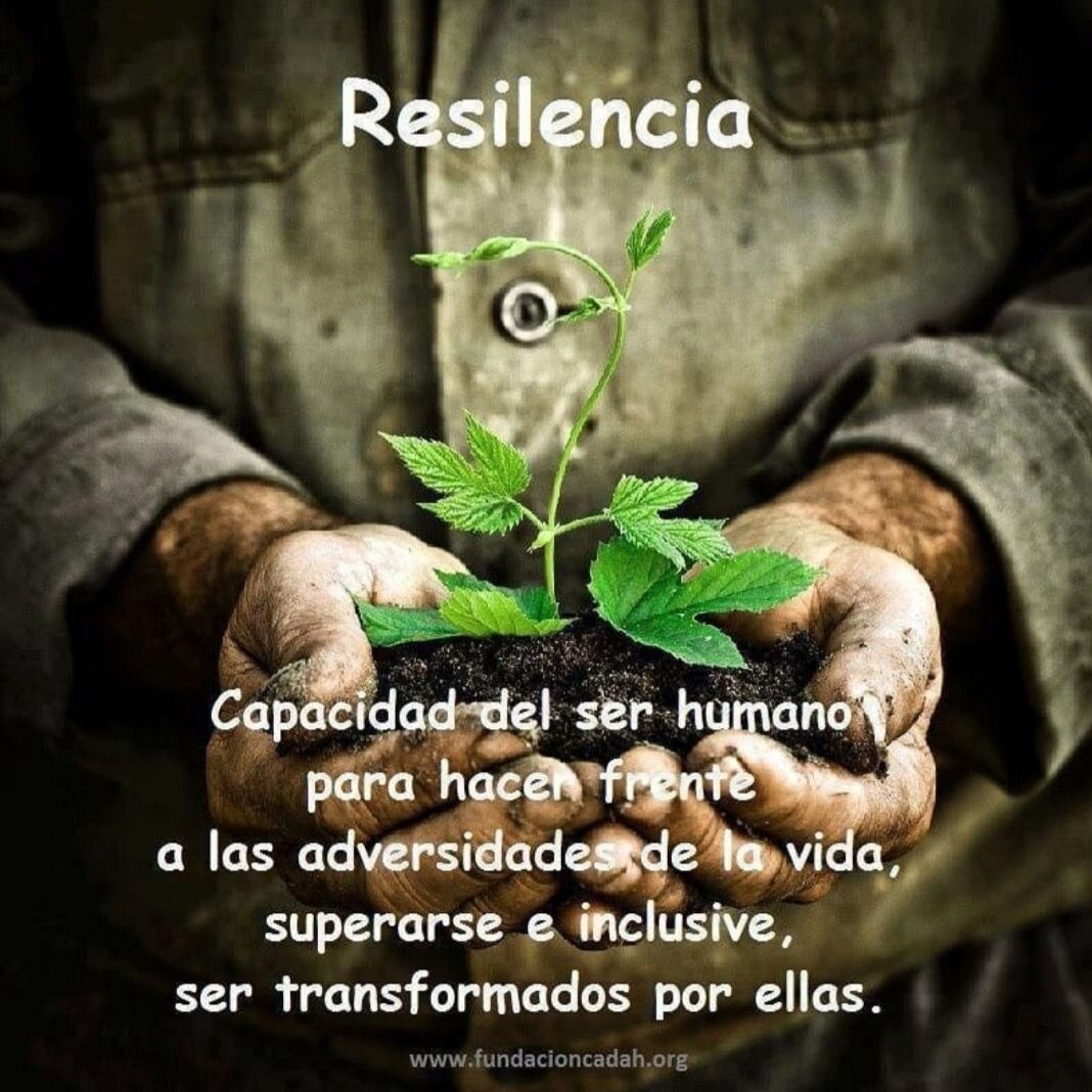 Citas Inspiradoras sobre Resiliencia