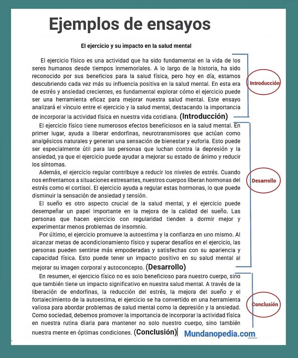 Conclusión