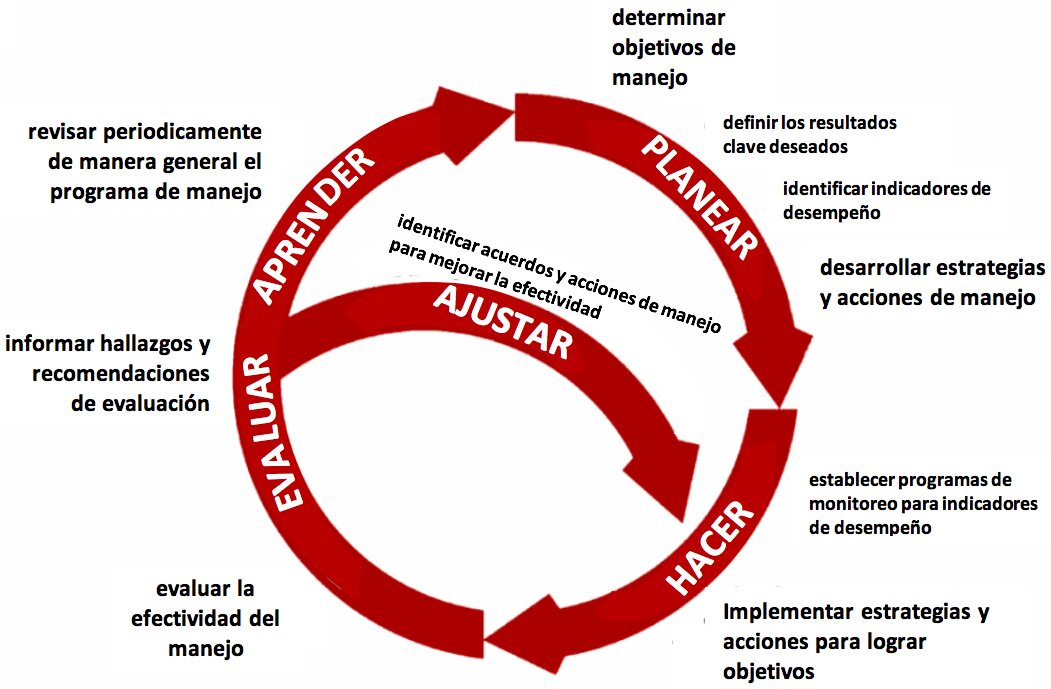 Guía Paso a Paso para una Gestión Adaptativa