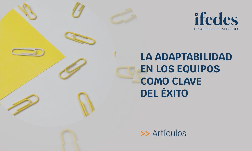 ¿Por qué es Fundamental la Adaptabilidad en la Gestión?